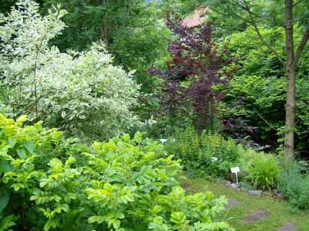 http://www.hildegard-kraeuter-garten.at/media/kraeuterwelt 2010/etage-fluss2.JPG